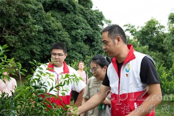 联合村第一书记梁进权向实践团队成员介绍陈皮柑的养护方法